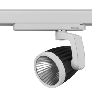 Ray S ACDC Track Spotlight